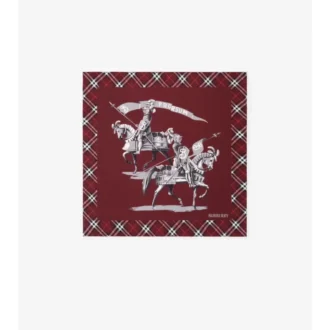 Eșarfă din mătase Archive Knight