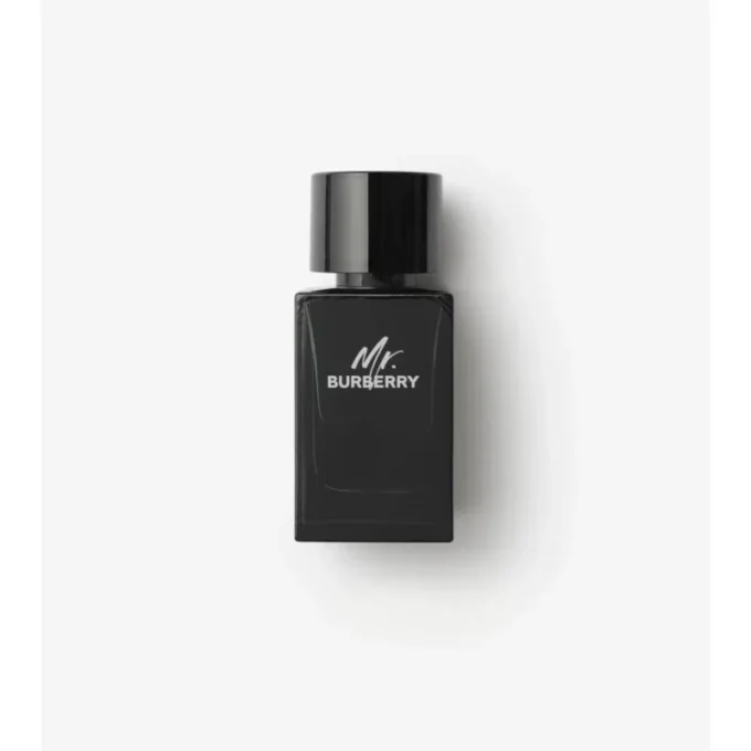 Mr. Burberry Eau De Parfum 100 ml